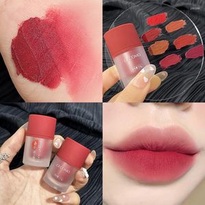 Lip Gloss Matte Textur Schlamm Lippen Wange Dual-Use Make-Up Farbe Tönung Frauen Gesicht Kosmetik TSLM1