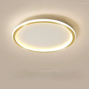 Światła sufitowe Kreatywna okrągła lampa LED Nordic Art Master sypialnia oświetlenie Sieć Red Nowoczesne minimalistyczne ściemnianie