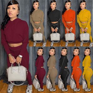 Fall Winter Jogger Suits Women Tracksuits Solid Outfits Long Sleeve Pullover Hoodie and Pants Two Piece Set Solid Sweatsuits 2XL Casual Sports Suit 9063