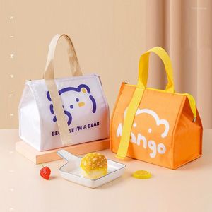 Borse portaoggetti Scatola porta pranzo termica per cartoni animati per donna Bambini Contenitore per alimenti impermeabile Borsa da picnic da viaggio Borsa termica bento