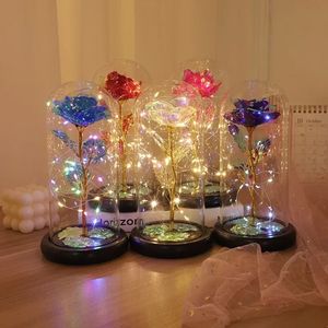 Party Favor LED Enchanted Galaxy Eternal Roses 24K Gold Foil Flowers With Fairy String Lights In Dome For Mother Valentine's Day Gift tt1230