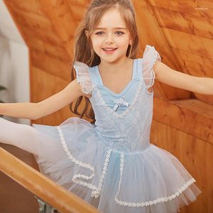 Stage Wear Ballet Dress Ballerina Dance Leotard Tutu Girls Performance Costumes Tank Pink Princess