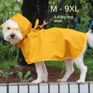 Vestuário de cachorro M-9xl Pet Choat Chaat Transparente Hat Brim Poncho