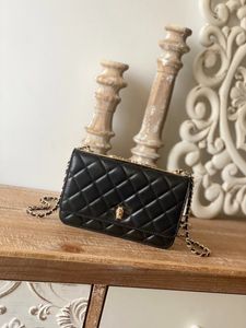 5A Kalite Lüks Marka Tasarımcı Çanta Kadın Moda Çanak Çantası Zincir Kıyafet Çanta Crossbody Bag Metal Logosu Tek Omuz Çantası