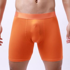 Underpants Cotton Solid Men Boxer Underwear 3D Long Legging Sport Black White Blue Orange Yellow Boxershorts