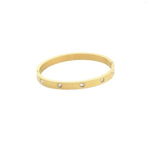 Armreif aus Titanstahl, einfarbig, Gelbgold, Schmuck, 10 Pavé-Zirkon-Rohling-Armband für Damen