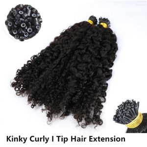 Brasileiro Kinky Straight I Tip Microlinks Hair for Black Women Virgin Virgin Natural Bulk