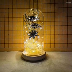 Decorative Flowers Preserved Flower 5 Colors Eternal Lightweight Easy To Store Attractive LED Light