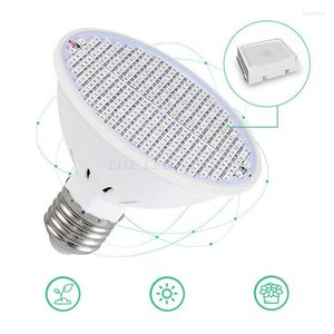 Coltiva le luci E27 spettro completo E14 220V LED pianta lampadina fito lampada per interni GU10 giardino fiore idroponica MR16 tenda box