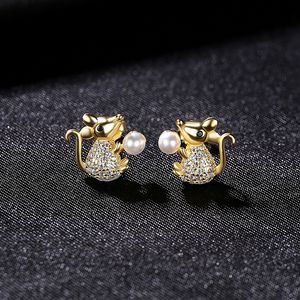 Micro set zircone simpatico topo s925 orecchini a bottone in argento gioielli da donna personalità coreana orecchini animali di lusso accessori regalo