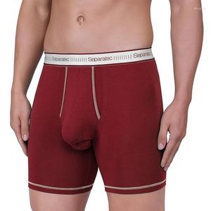 Cuecas 3 Pcs Separatec Homens Respirável Algodão Underwear Separado Bolsa Boxer Briefs Perna Longa Mens Calcinha Confortável