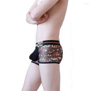 Unterhosen CLEVER-MENMODE Boxer Männer Unterwäsche Hombre Cuecas Sexy Mesh Höschen Offenen Penis Beutel Mann BuBoxers Backless