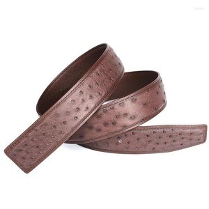 Belts High Quality Authentic Ostrich Skin Men's Belt Without Buckle Genuine Exotic Leather Classical Designer Male Brown