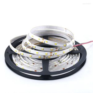 ストリップ5m/10m LEDストリップライト60 LED/M SMD 2835ウォームホワイトレッドグリーンブルーRGB 12V防水柔軟なテープロープバンド