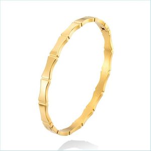 Bangle Bangle High Quality Fashion Stainless Steel Jewelry Gold Simplicity Geometry Metal Bamboo Joint Bracelets Bangles For Women G Dhlyz