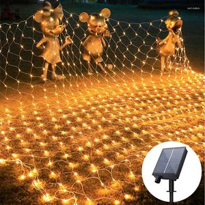 Strings Holiday Led Christmas Lights Outdoor 6x4m 3x2m 1,5x1.5m String Light Light Cortina Decoração para Garland Garland Garland Garland