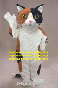 Traje de mascote de gato calico traje de desenho de desenho animado de caráter de caráter corporativo de imagem corporativa de fita de fita cere zz7885