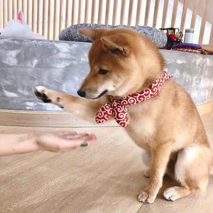 Köpek giyim klasik Japon desen tarzı Shiba Scarf Bandana Roll Çim