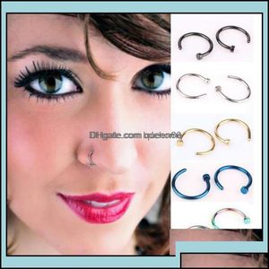 Nose Rings Studs Nose Rings Studs Body Jewelry Trendy Piercing Jewellry Fashion Stainless Steel Open Hoop Ring Earring Fake Non Dr Otyww