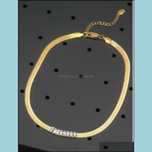 Catene Catene Collane Pendenti Gioielli Colore oro Classico Larghezza semplice Catena a spina di pesce Micro Pave Heart Cz Fascino Serpente Donna Reggiseno Otozh