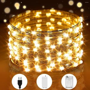 Stringhe 2M 5M 10M Filo Batteria/USB Rame LED String Light Vacanza Giardino esterno Albero di Natale Festa Decorazione di nozze Fata