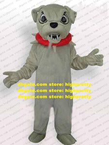 Cool Grey Bull Dog Bulldog Mascot Costume Mascotte Puppy Pitbull With Sharp Teeth Red Prickly Collar Adult No.743