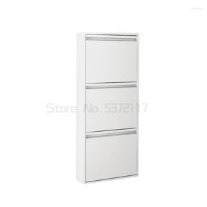 Clothing Storage Shoe Cabinet Household Wall Hanging Tipper Narrow House Type Porch Simple Modern