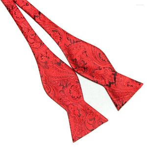 Bow remis Poliester Wzór moda męska krawat self cravat 20 kolorów