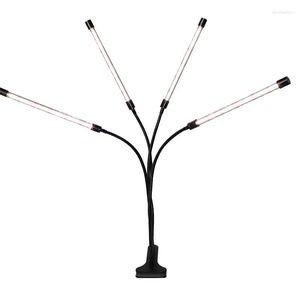 Grow Lights USB светодиодный светлый свет 80 Вт полный спектр фито лампы солнечный свет белый для растений Дом гидропоника сочная коробка cnim