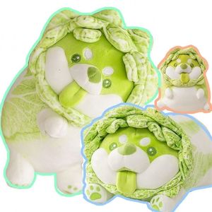 Almofadas de pel￺cia de n￡degas criativas fofas de repolho shiba inu c￣o jap￣o brinquedos vegetais jogue travesseiro de pel￺cia de sof￡ de animais de pel￺cia de natal 221104