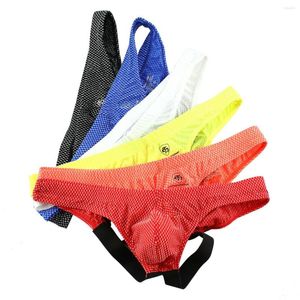 Underbyxor 4pack sexiga herror bulge påse crotchless underkläder ihåliga homme trosor andningsbara män#39; s underkläder bikini hombre