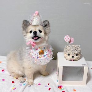 Dog Supplies Birthday Party Party Pet Saliva Towel Bichon Triangle Senght Bib Hat Set Acessórios Chihuahua