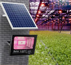 Full Spectrum 200W Solar LED Grow Lights Lights Light Phyto Lamp f￶r utomhus tr￤dg￥rds v￤xthushydroponiska v￤xtbelysning