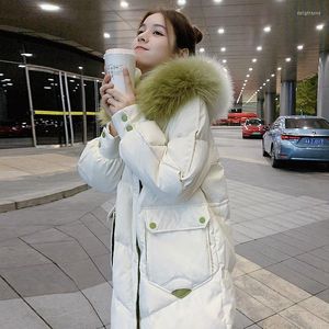 Kvinnor Down Women Winterjacka kappa koreansk stil Lossa långt bomullsskadat mode Big päls krage outwear bomull vadderad kvinna jackor