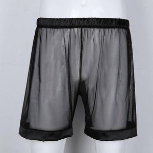 Underpants Men Underwear Sexy Mesh Boxer Briefs Long Leg Transparent Panties Shorts Pouch Boxershorts Slips Homme