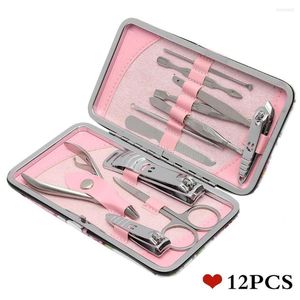 Nail Art Kits 12-teiliges Edelstahl-Clipper-Cutter-Trimmer-Ohrpick-Pflegeset Maniküre-Pediküre-Scheren-Pinzetten-Werkzeug-Set