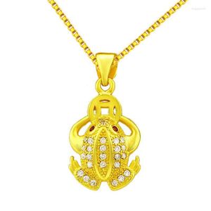 Anh￤nger Halsketten Zirkon Frosch Gold Farbe Zauber Anh￤nger Tierschmuck f￼r Frauen Mode Boho Halskette