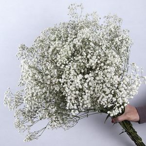 Fiori secchi naturali freschi Gypsophila Paniculata Bouquet immortali di Babysbreath per San Valentino Baby Shower Decorazioni di nozze