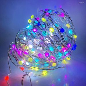 Stringhe USB LED String Lights WS2812B RGB Light Full Color indirizzabili individualmente Natale per la camera da letto della festa nuziale DC5V