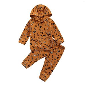 Kleidung Sets 2022 0-18M Infant Baby Mädchen Jungen Kleidung Set Leopard Print Langarm Mit Kapuze Sweatshirt Harem Hosen herbst Casual 2 stücke