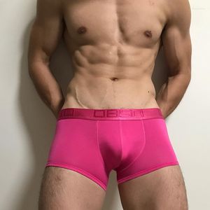 Mutande Moda Uomo Sexy Intimo Boxer Pantaloncini di alta qualità Mutandine maschili solide Cuecas Tanga U Custodia convessa