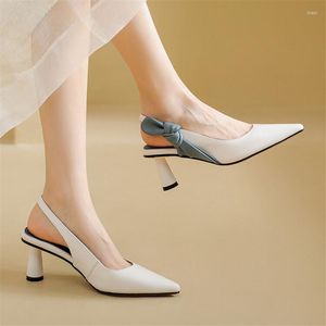 Elbise ayakkabıları pxelena ünlü zarif ofis bayan düğün partisi kadın sapanbacks pompalar karışık renk garip yüksek topuklu ayakkabılar artı boyutu