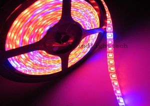 5M LED Phyto Lamps Full Spectrum LED Strip Light 300 LEDs 5050 Chip Fitolampy Grow Lights For Greenhouse Hydroponic plant3691791