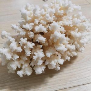 Decorative Figurines 1pcs Natural White Coral Cluster Crystal Aquarium Landscaping Ornaments Decorationum Reef Specimen Home Decor Gift