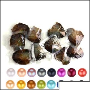 İnci İnci İnci Gevşek Boncuk Takı Akoya Oyster 67mm Yuvarlak İstiridye Kabuğu Vakum Paketlenmiş 16 PC LOT DRAP TESLİMİ OTFWH