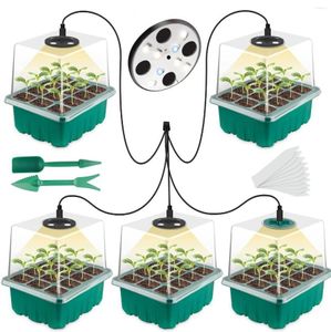 Luzes de cultivo Plant Seed Starter Bandejas de mudas de bandejas com estufa de estufa leves 60 células por 5 pack2472868