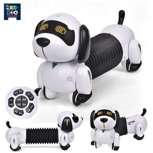 RC Robot Ukboo Interactive Dog Remote Control Remoto IC Dublê Dachshund Programa de animais de estimação Eletrônico Smart Toys Educational for Children 221109