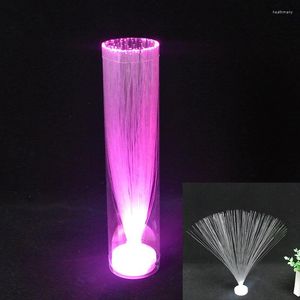 Night Lights Multicolor LED Fiber Optic Lamp Light Interior Decoration Centerpiece Holiday Wedding