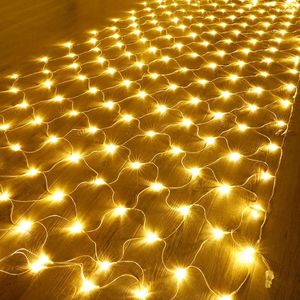 Strings Beiaidi LED siatka siatka wróżka 10x1m 580 sznur garland