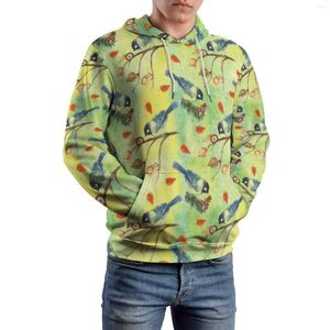 Heren Hoodies Aquarel Birds Loose Woodland Animal Street Fashion Hoodie Man Lange mouw Leuke grafische sweatshirts met een kap